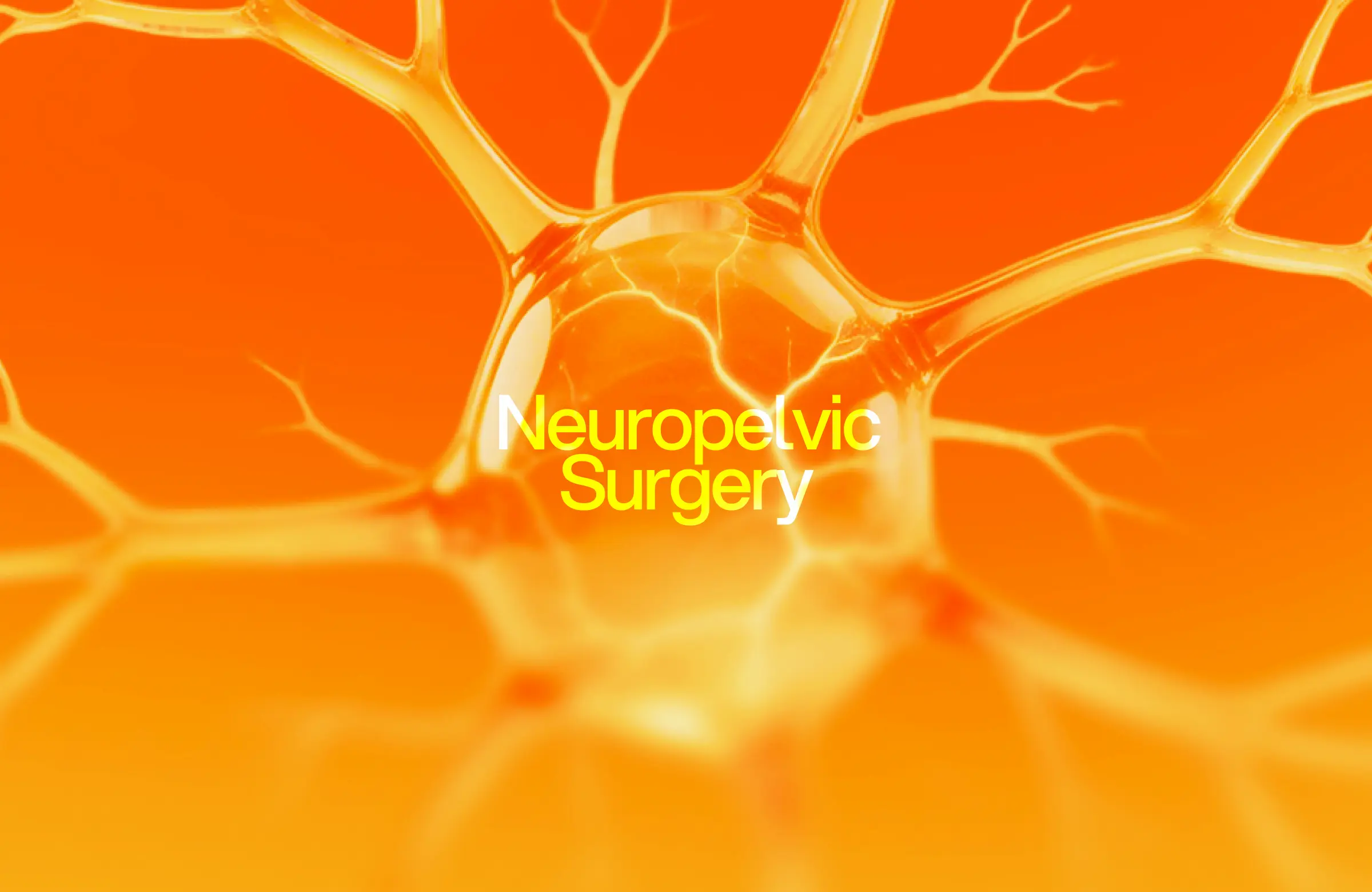 Neuropelvic Surgery Healthcare DD.NYC® | Website Design & Development